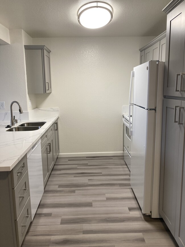 Photo - Camino Colony