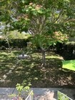 Photo - 3547 Gundry Ave Apartments Unit 3547