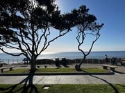 Photo - 159 Redwood Ave Unit B