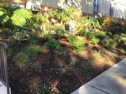 Photo - Ponderosa Apartments