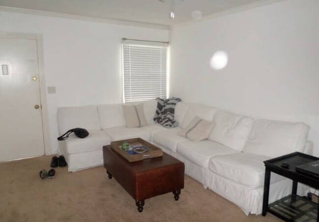 Spacious living room - 3829 Wade St Unit 3829