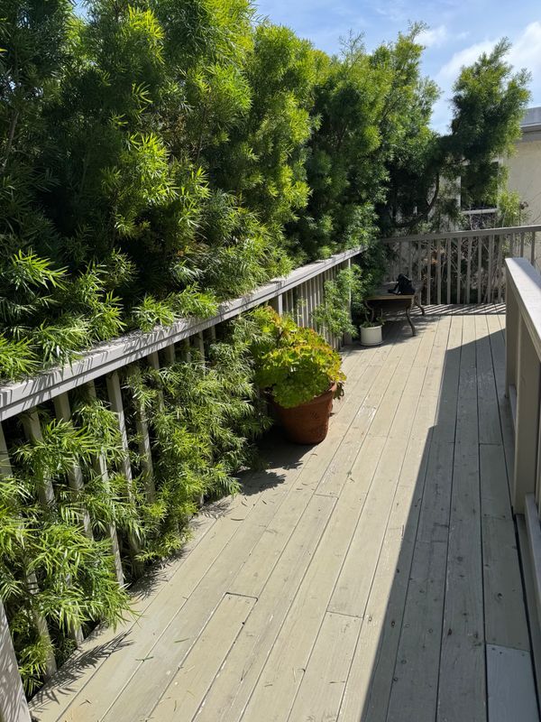 Photo - 1236 23rd St