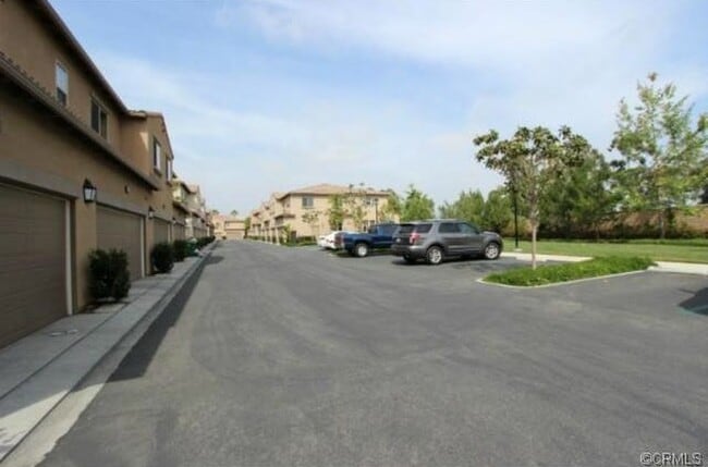 Photo - 24 Hedge Bloom