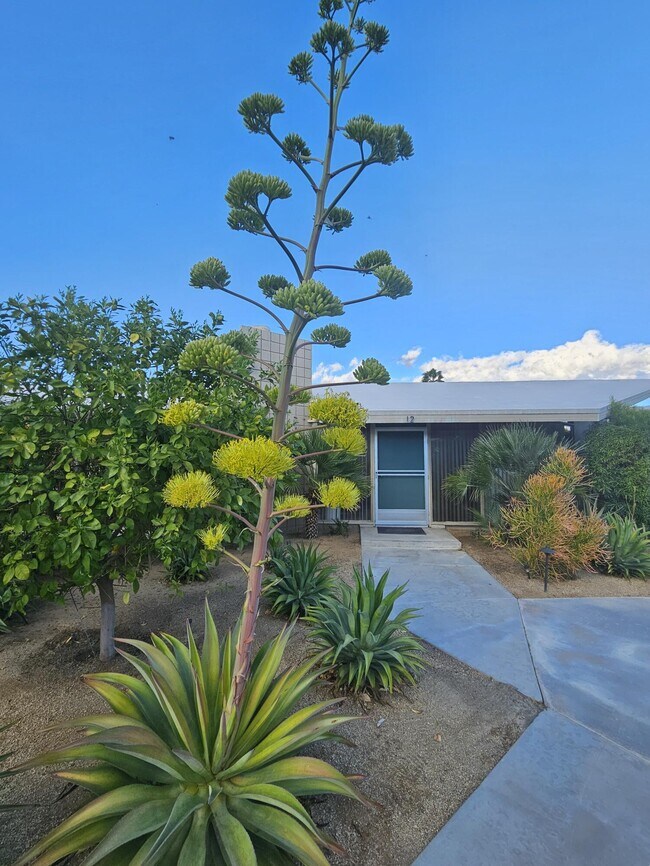 Photo - 37800 Da Vall Dr Unit 12