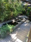 Koi pond - 2343 Yosemite Dr House