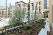 Patios - Avila Apartments