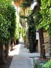 Lush walkway to units - 943 19th St Apartments Unit 2