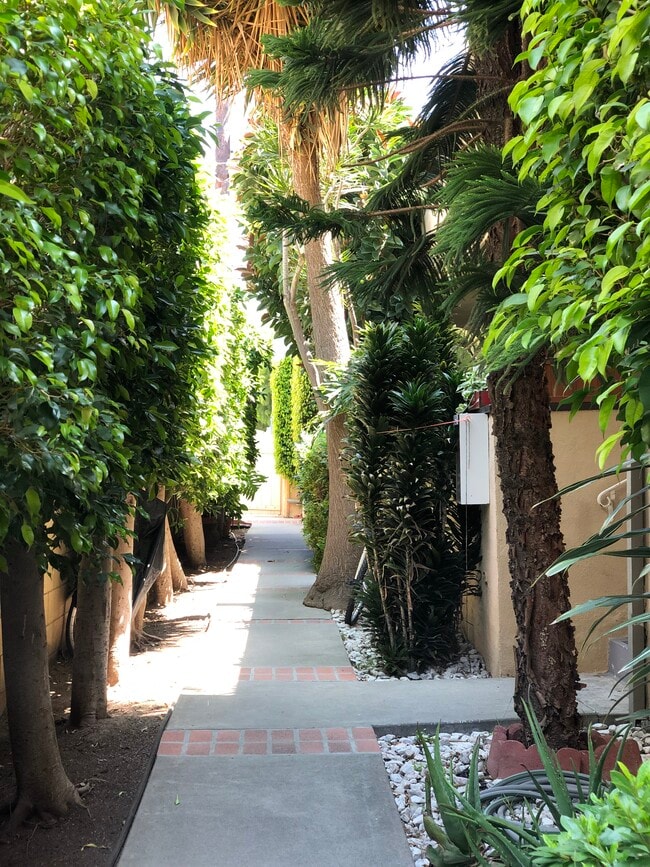 Lush walkway to units - 943 19th St Unit 2