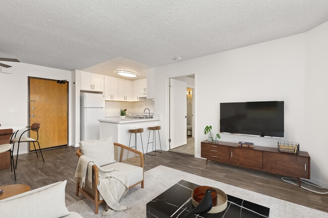 Remodel Apartment - The Plaza Apartments