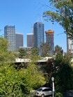 View from the living room window! - 1861 Pandora Ave Apartments Unit 1