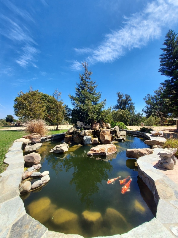 Photo - 275 Crestview Ave