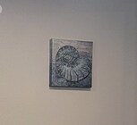 Photo - 248 Bluefield Ave