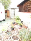 Photo - Contour Blvd Apartment Unit 4619 #A