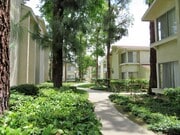 Photo - Jasmine Villas Apartments