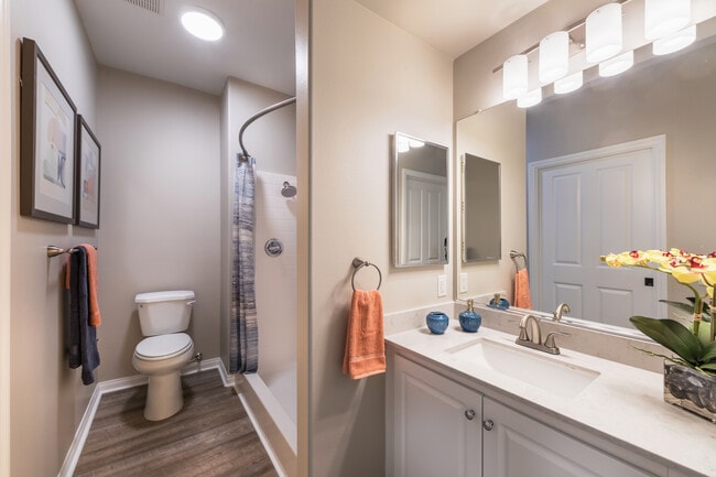 Spacious Model Bathroom - Overture Rancho Santa Margarita 55+ Senior...