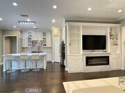 Photo - 56 Purple Jasmine