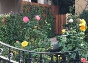 Photo - 1122 S Hayworth Ave