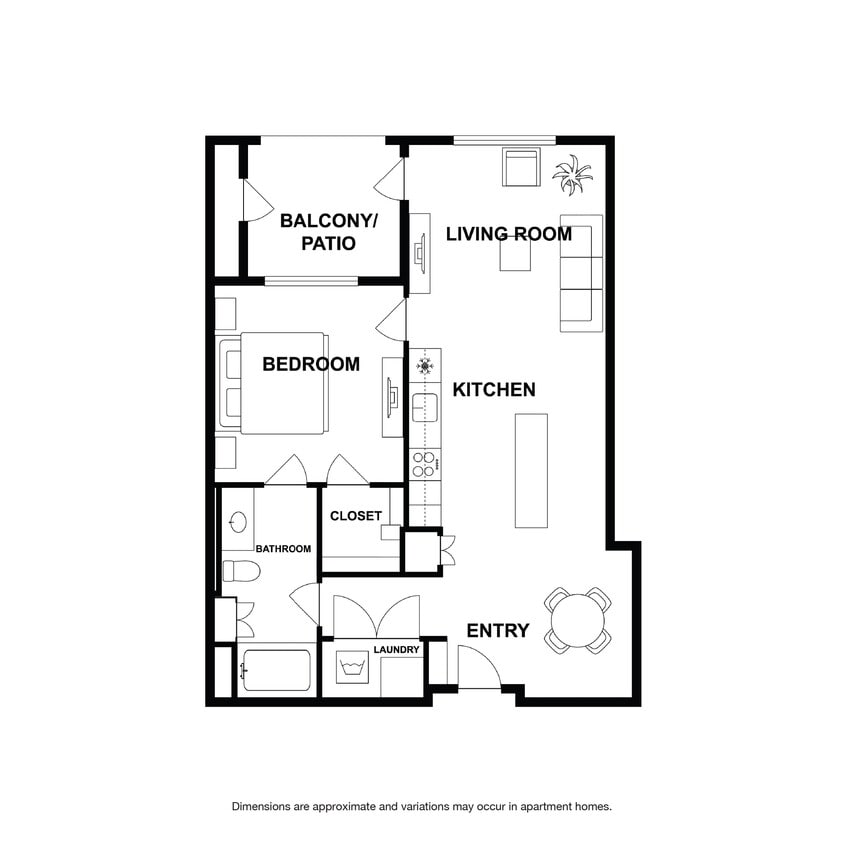 Eucalyptus - Eucalyptus