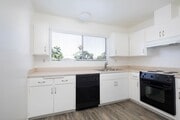 Photo - Palm Towers Apartments