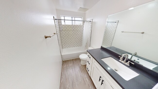 Photo - The Tropicana