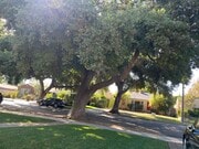 Photo - 520 N Myers St