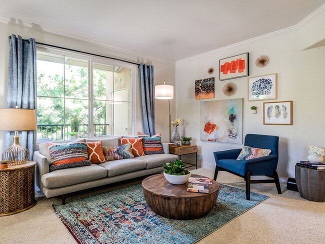 Photo - Sofi Shadowridge