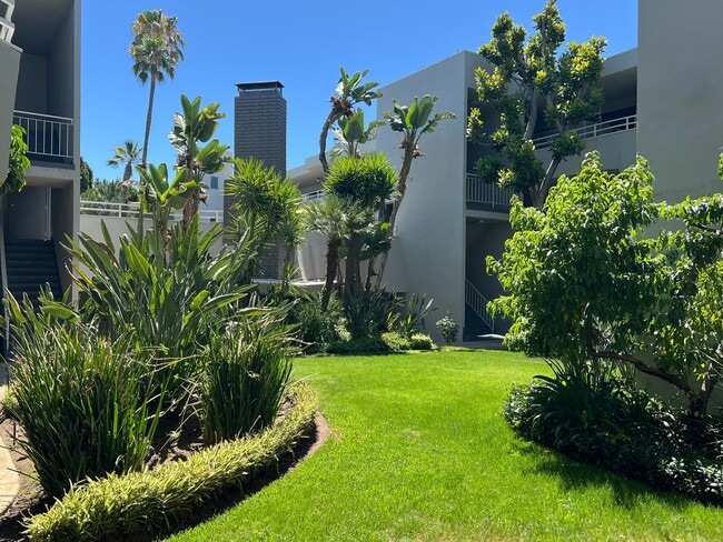 Photo - Encino Voltaire