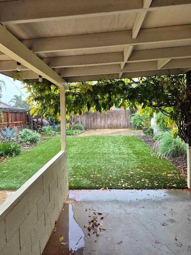 Backyard - 334 Calor Dr