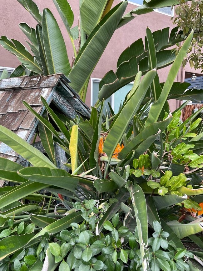 Photo - 955 Hyperion Ave