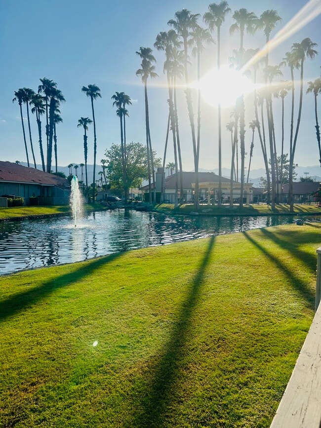 Photo - 43376 Cook St Unit 87