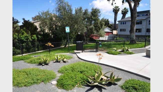Pet Park - 4th Avenue Apartments