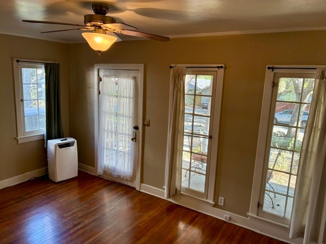 Look out the classic french windows to the native garden - 1355 E Elizabeth St