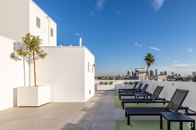 Other - The Hummingbird LA - Brand New Rental
