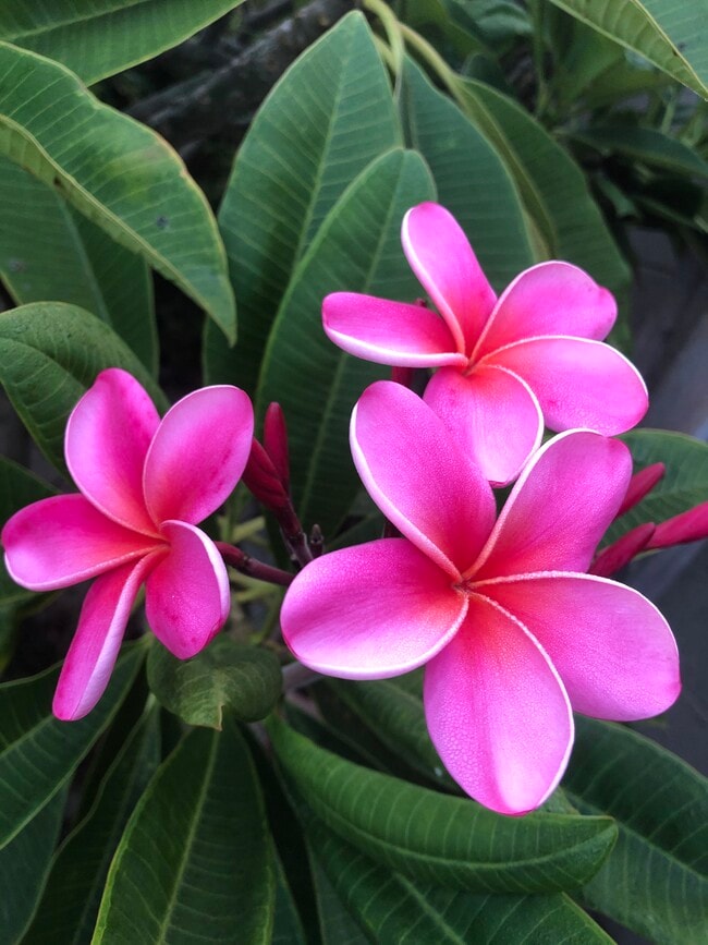 Welcome Home! - 840 W 168th St Unit #B