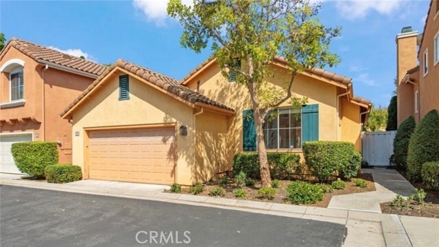 Photo - 12 Parthenia