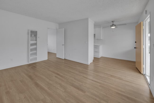 Photo - Paloma Apartments