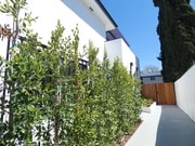 Photo - Luxury Four-Unit Estate Unit 1347 N. Stanley  1