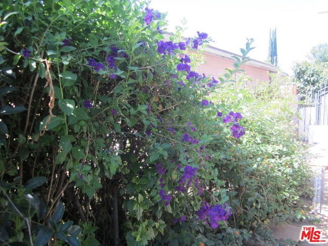 Photo - 6837 Lubao Ave