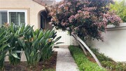 Photo - 15 Marsala House