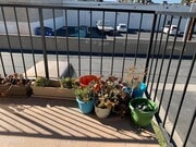 Photo - 2033 Calle La Sombra Unit 4