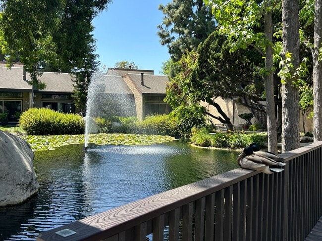Building Photo - Live at The Lakes!
