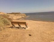 Photo - 536 39th W St