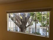 Courtyard Tree - 3181 S Barrington Ave Unit E