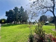 Photo - 17 Goldenrod