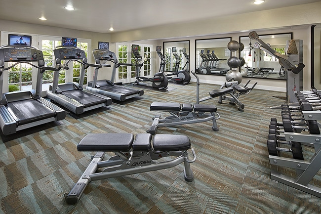 Fitness Center with Cardio and Weight Training Equipment - Woodbridge