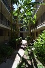 Photo - 21018 Gresham St Apartment Unit 215