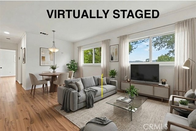 Photo - 65 Grace Terrace