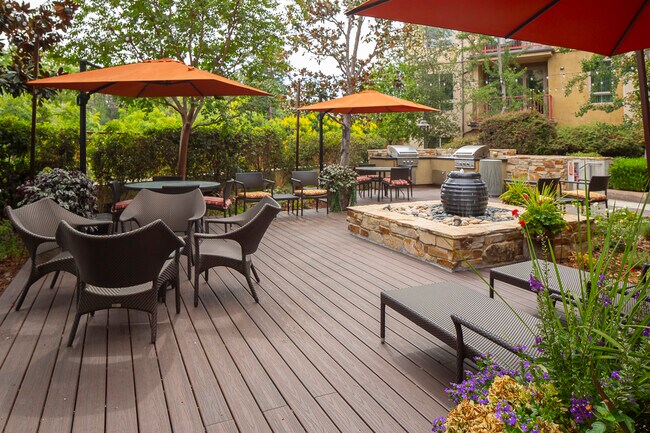 Garden - Serrano Luxury Homes and Garden