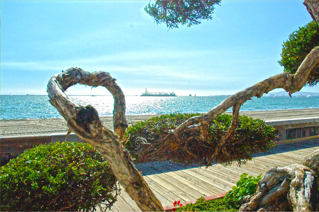 Photo - 15 64th Pl Unit Upstairs Beach Suite