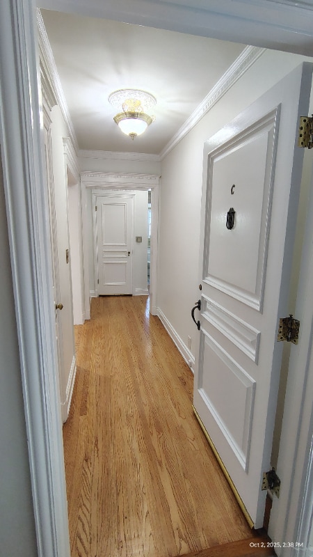 Building Photo - 10974 Strathmore Dr